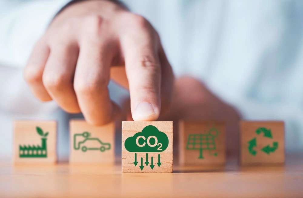 Advantages of Adopting Carbon Reduction Tactics in Your Restaurant for a Greener Future
