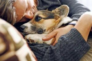 Finding mobile pet euthanasia services