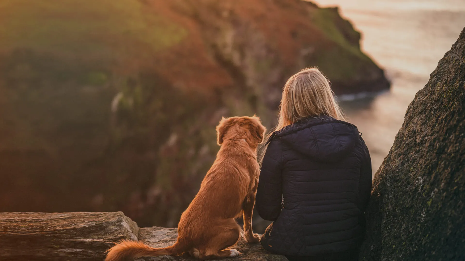 How Supporting Local Restaurants Can Benefit Pet Owners Facing Mobile Euthanasia